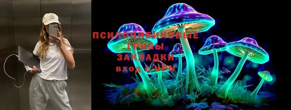 стафф Уссурийск